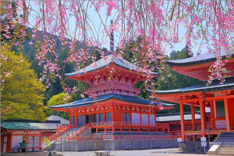 比叡山延暦寺